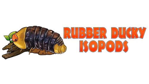 Rubber Ducky Isopods